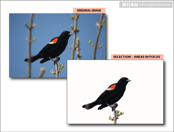 终于等到你!Photoshop CC 2014新功能详解